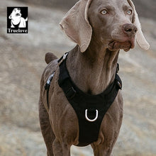 Load image into Gallery viewer, Truelove Waterproof Dog Harness Lightweight Durable Nylon Pet Dog Vest Harness Reflective Adjustable For Small Large Dogs Perros