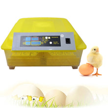 Load image into Gallery viewer, 48 Hole Automatic Egg Turning Incubator Digital Incubator Temperature Control for Chicken Poultry Hatcher Ducks Goose Birds
