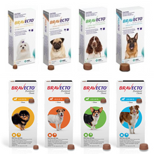 Load image into Gallery viewer, Bravecto Chews for Dogs Flea and Tick , Single 12-Week Dose
